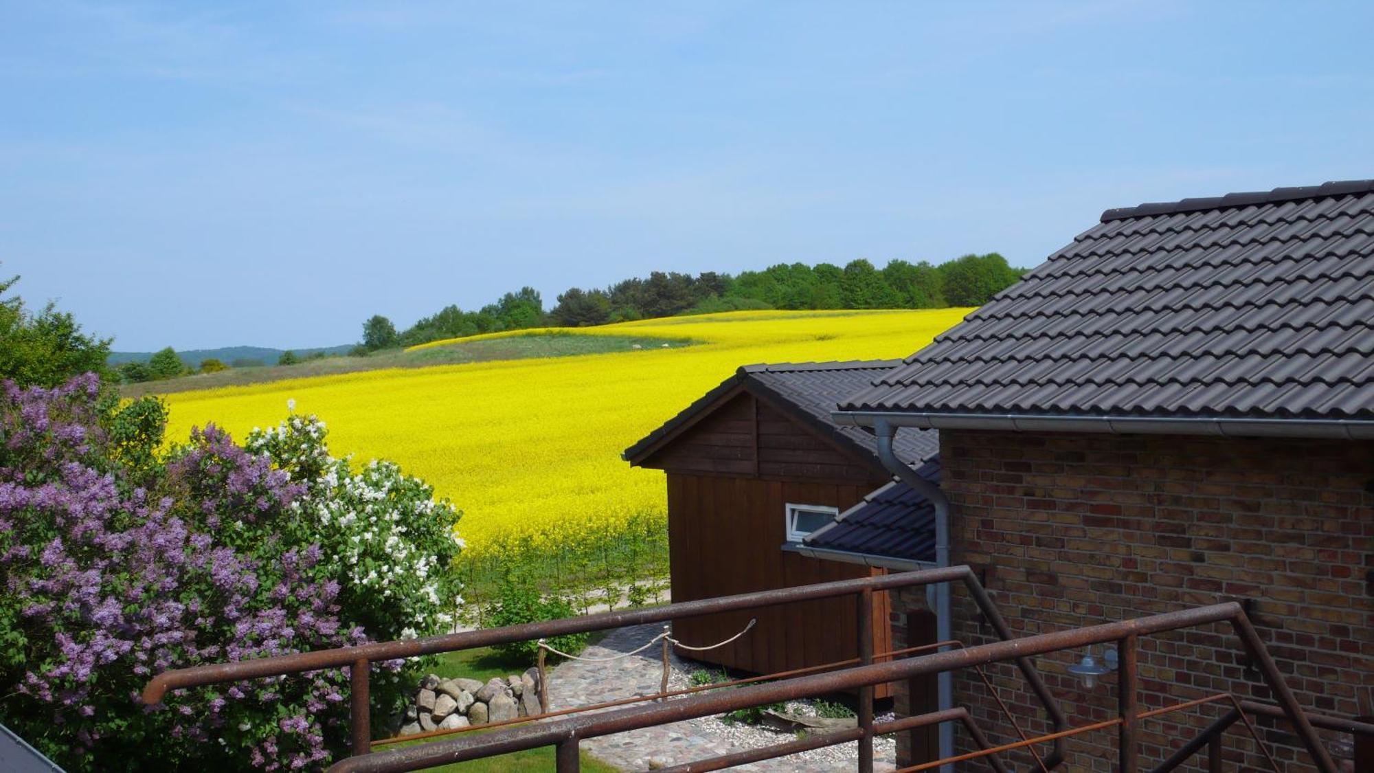 Apartamento Vogelhaus Gobbin Lancken-Granitz Exterior foto
