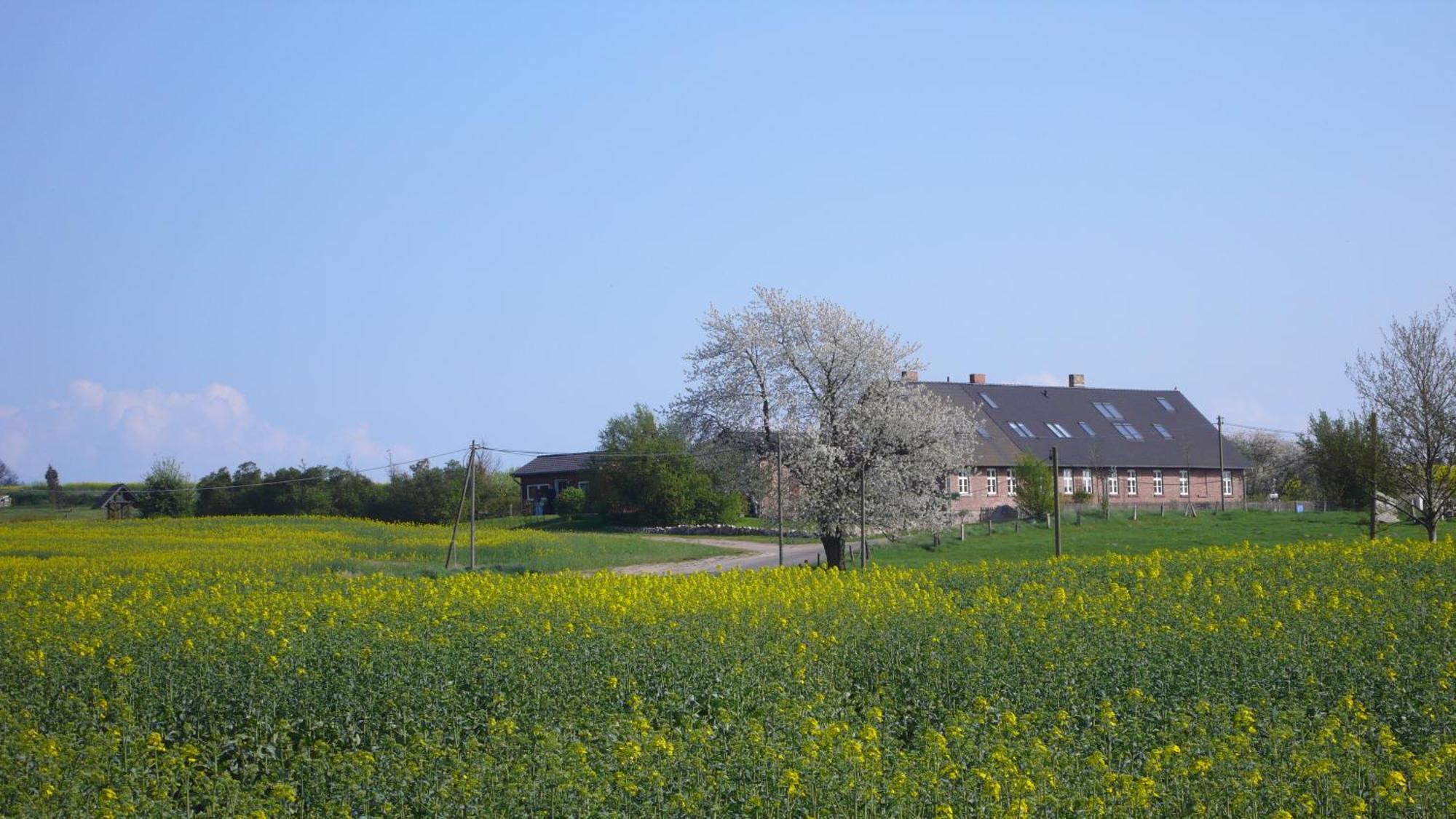 Apartamento Vogelhaus Gobbin Lancken-Granitz Exterior foto